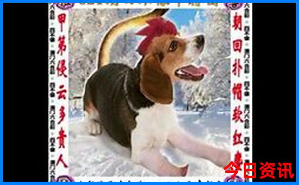 北京土特产排行榜前十名
